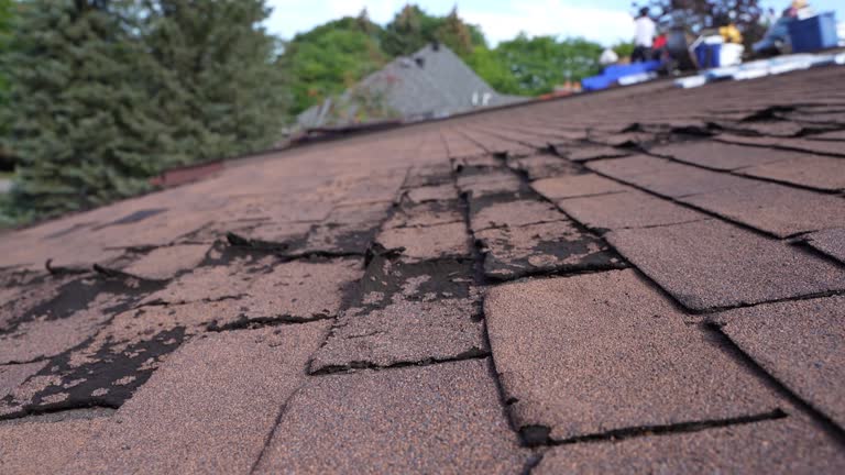 Best Roof Maintenance and Cleaning  in Rendon, TX